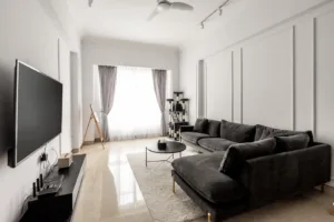 Modern living room with sofa and TV.