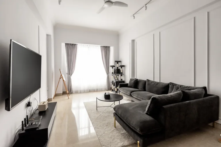 Modern living room with sofa and TV.